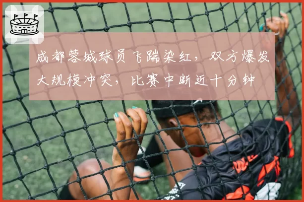 成都蓉城球员飞踹染红，双方爆发大规模冲突，比赛中断近十分钟