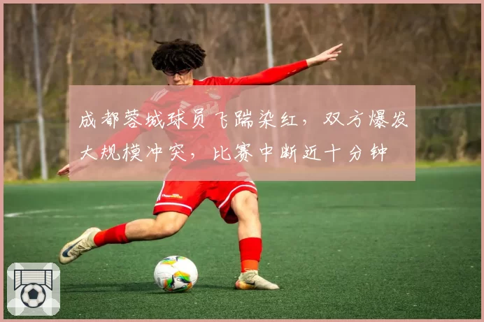 成都蓉城球员飞踹染红，双方爆发大规模冲突，比赛中断近十分钟