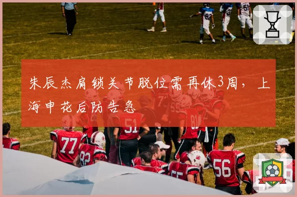 朱辰杰肩锁关节脱位需再休3周，上海申花后防告急
