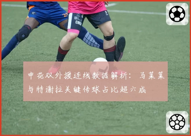 申花双外援连线数据解析:马莱莱与特谢拉关键传球占比超六成