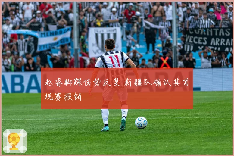 赵睿脚踝伤势反复 新疆队确认其常规赛报销